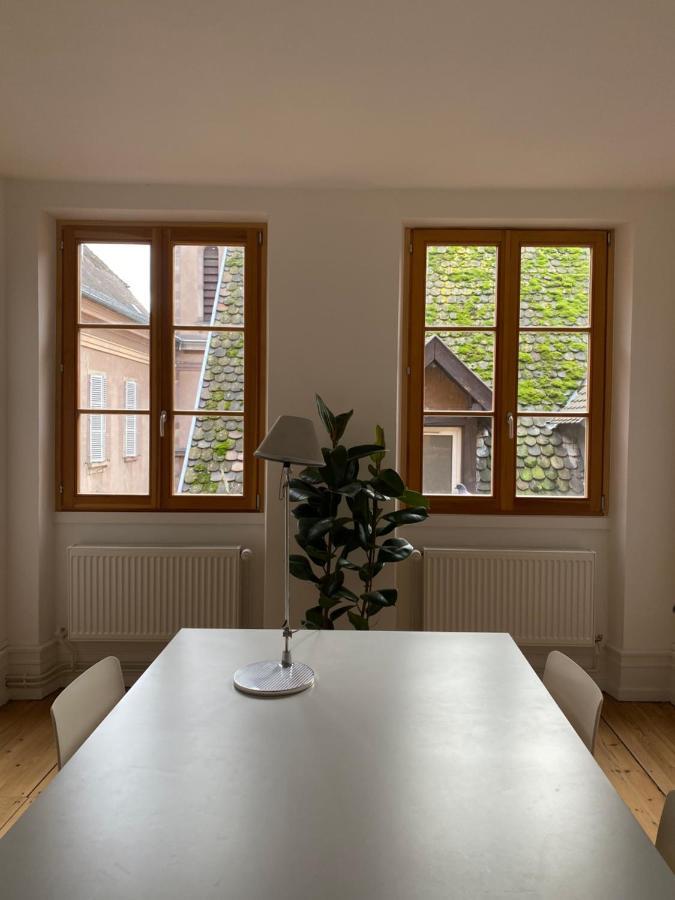 Grand Rue, Ambiance Annee 1540 Appartement Straatsburg